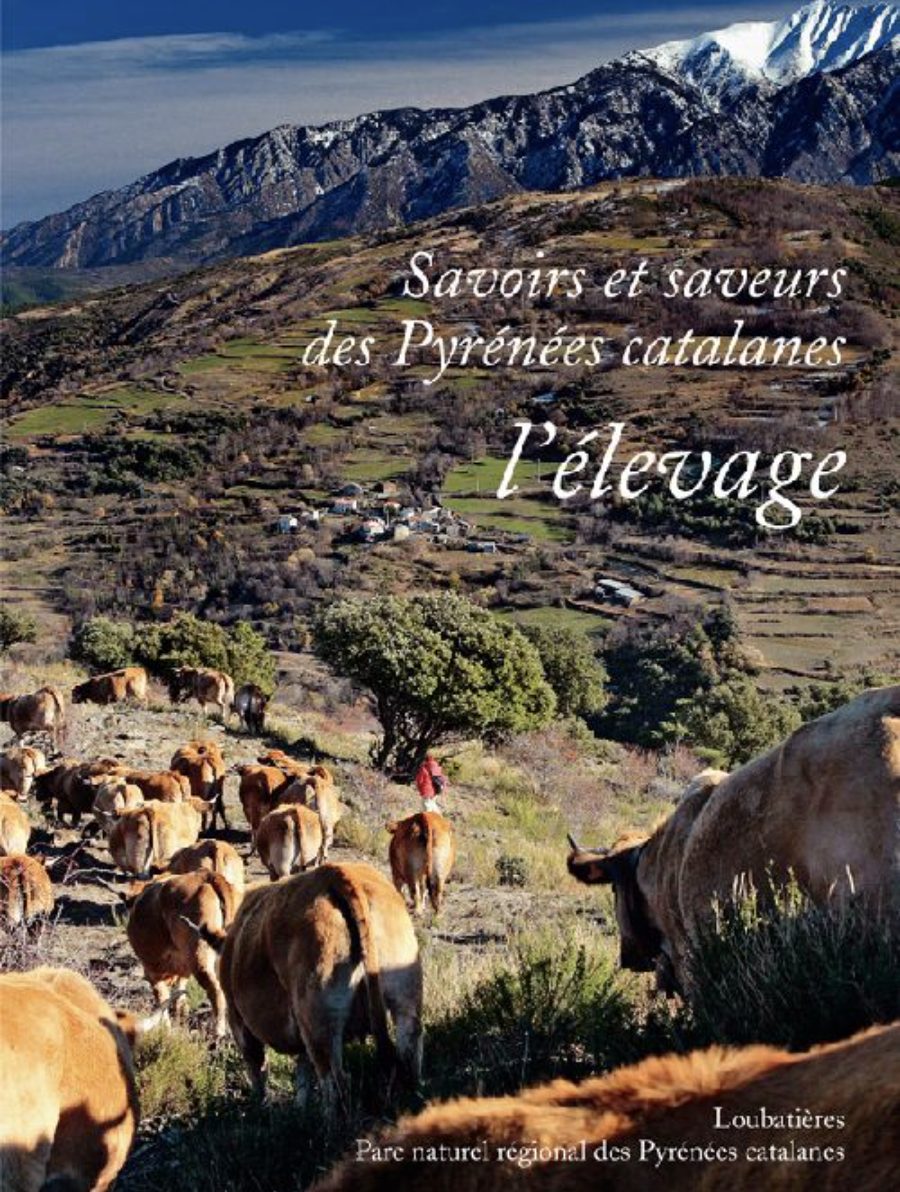 Photo d'un paysage montagneux avec un troupeau de vaches dans une vallée. Titre en français sur l'image : "Savoirs et saveurs des Pyrénées catalanes, l'élevage". Mention en bas : "Loubatières, Parc naturel régional des Pyrénées catalanes."