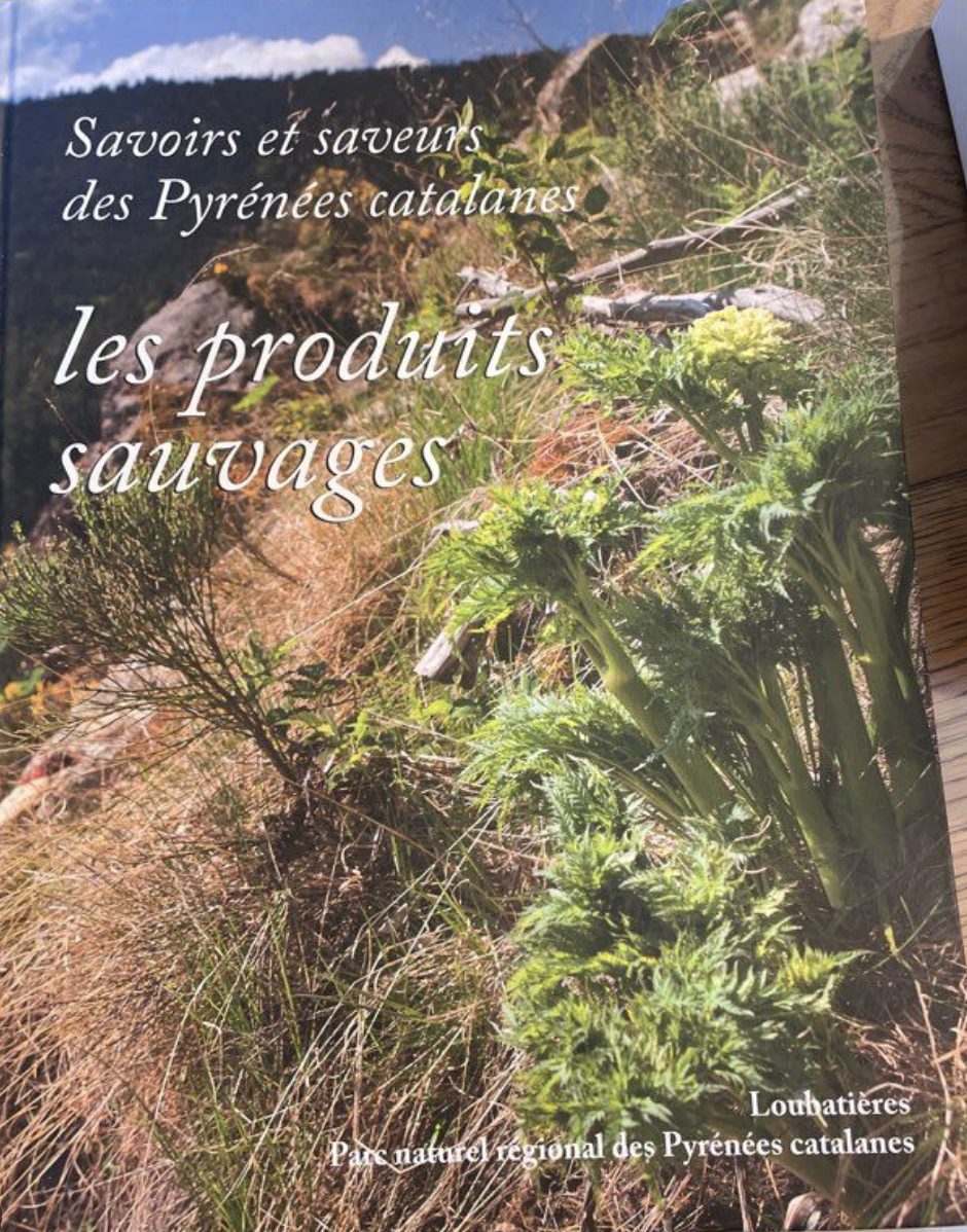 Couverture d'un livre ou d'une brochure intitulé 'Savoirs et saveurs des Pyrénées catalanes, les produits sauvages' avec une image de plantes sauvages et de la nature dans les Pyrénées catalanes.