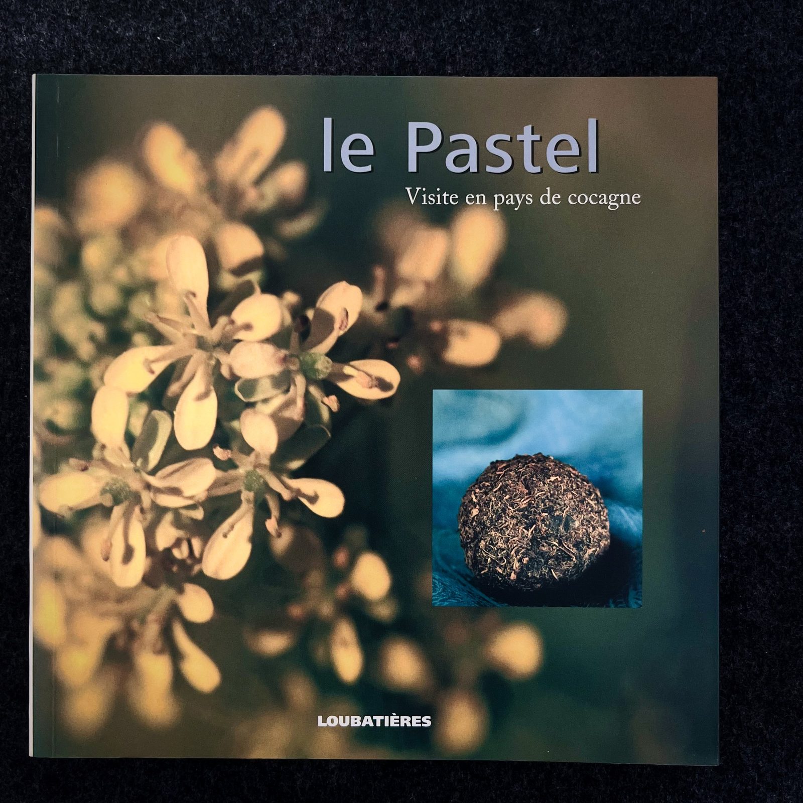 Couverture d'une brochure sur le pastis, avec une photo de fleurs de plantes aromatiques et une petite image d'une boule de pastis